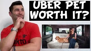 Uber Pet Driver........we all love dogs. But is an Uber Pets Ride worth it?