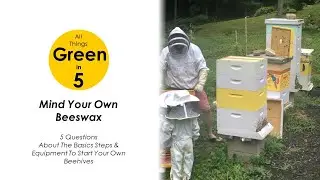 Green In 5 - Basics To Starting Your Own Honey Bee Hives | Easy Steps & Equipment To Get Going