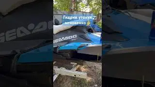 Главное все живы☝️ 