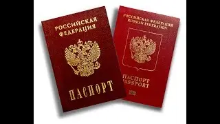 Проверяем паспорта/Papers, Please