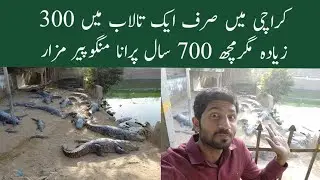 Manghopir Crocodile | 700 Years Old Crocodile in Karachi | Manghopir Mazar