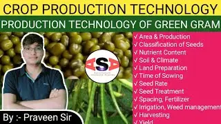 Green Gram || Moong Bean || 