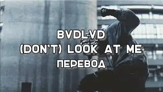 BVDLVD - (DON