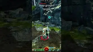 Change these GW2 settings NOW!