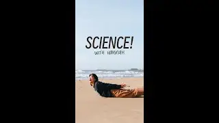 Science! with Hannah : Elephant Seals