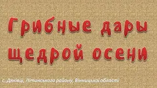 Грибные дары щедрой осени