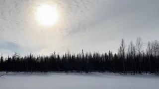 По следам неуловимой куропатки ч.1 сезон 2023 - 2024.  Прогулка по лесу. Нашёл сувель берёзовый.