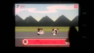 Dog and Cat Game for Android, Iphone