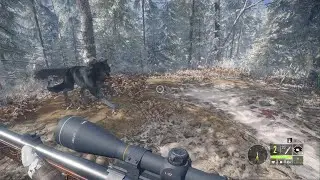 Two wild doggos appear theHunter: Call of the Wild