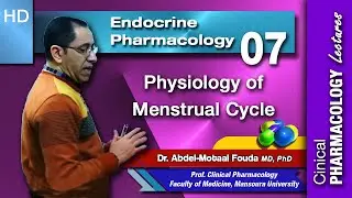 Pharmacology of Sex Hormones - Lec 07 (Part 1): Physiology of Menstrual Cycle