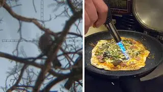 Field To Fork