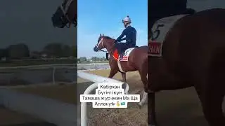 Жылкы деп аягын умытып кеттi😂🐎#жылкы #прикол #казакстан #актобе#байге