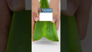Пошли как-то две женщины на ипподром🤭.... #анекдоты #юмор #тгк