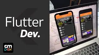 Flutter Dev: Dark Mode in Flutter