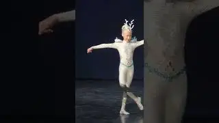 9 years old. Demi Classic.