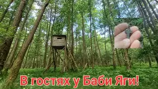 Пошук на старій дорозі та роздуми у голос!