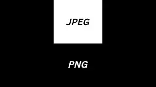 JPEG and PNG. What's the difference?