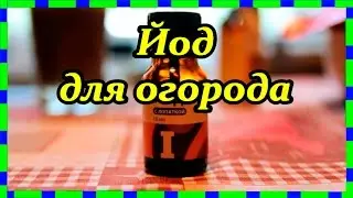 Йод для огорода