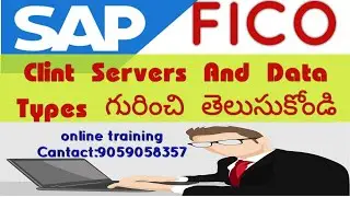 All About SAP FICO Clint Servers And Data Types | SAP FICO Training in Telugu||Client server model