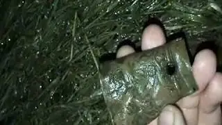 коп по 1812 году. открытие сезона 2017.