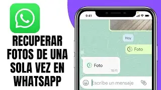 How to Recover Photos in One Go on WhatsApp