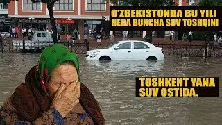 O'ZBEKISTONDA NEGA BUNCHA KO'P SUV TOSHQINI YOKI YARATGANNING QAXRIMI BU?...