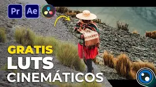 LUTS GRATIS ¿Cómo USAR LUTS en Premiere Pro? / Tutorial