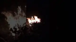 из за карбюраторов  бандит 250 сожгли мот