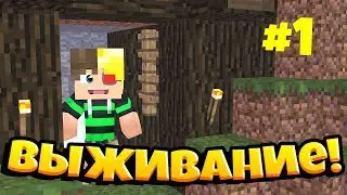 Выживание на fun party!//дом от подписчика