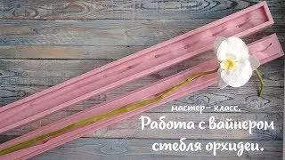 М.К Работа с вайнером стебля орхидеи.