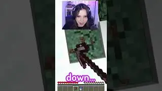 Minecraft But I Dig Straight Down...