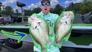 CRAPPIE FISHING the 903 FISHING tournament !!  TIPS to help you WIN !!