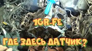 1GR-FE особенности конструкции для диагностов. Где находятся ДПКВ и ДПРВ.
