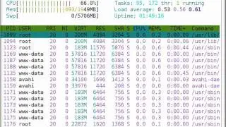 htop process monitor