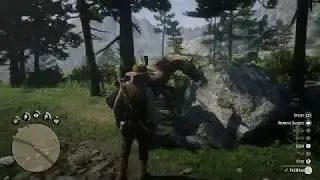 Red Dead Redemption 2: Robbing a House/People (Free Roam #2)