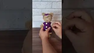 котенок в летнем костюмчике 
