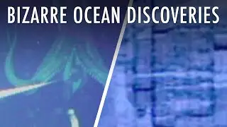 25 Bizarre Discoveries In The Deep Sea