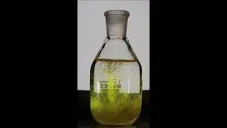 Does turmeric powder dissolve in water? Watch now. | #turmeric #onlinephyziks #shorts