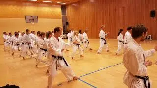 NTKF training camp with sensei Kawasoe Trondheim 2017