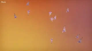 Sharon Van Etten - Born (Lyric Video)