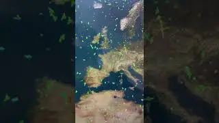 Underrated Websites tiktok timotechanut