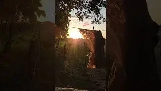 Farm Sound & Vibin'