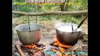 Аллерой, whatsapp-тоба, встречи в ст.Шелковская
