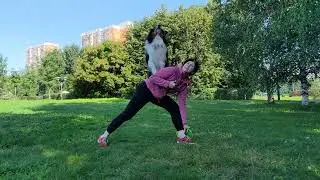 АО Барри - вольт от спины #vault #вольт #dogfrisbee #frisbeedog