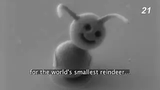 The World's Smallest Snowman