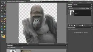 Copy, Paste & Move in Photoshop Elements 9