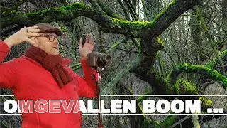 LANDSCHAPSFOTOGRAFIE met PRIME LENZEN: een (dode) omgevallen boom van alle kanten fotograferen...