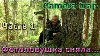 A camera trap took off a purple snake. Part 1.