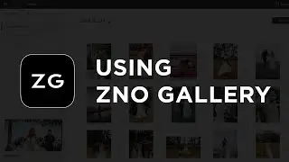 Zno Gallery | How to Use Zno Gallery | For Professional Photographers