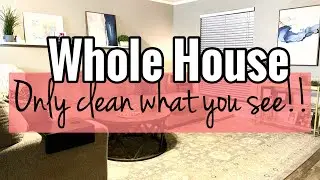 WHOLE HOUSE | CHATTY CLEAN WITH ME | NEVER NOT CLEANING